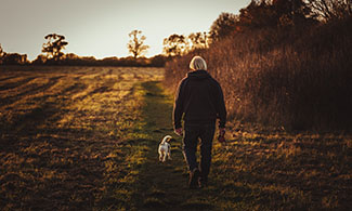 Bild på en man som går med sin hund på en äng i solnedgången