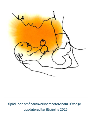 Sp&auml;d- och sm&aring;barnsverksamheter/team i Sverige &ndash; en kartl&auml;ggning
