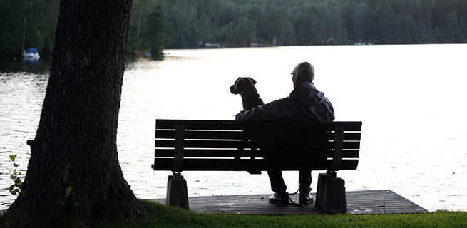 En man och en hund sitter på en bänk framför en sjö.