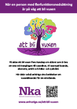 Omslag flyer att bli vuxen