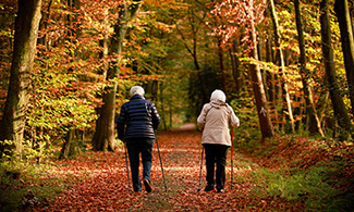 Två kvinnor på promenad i en skog under hösten.