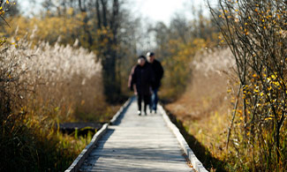 Par som promenerar på en brygga